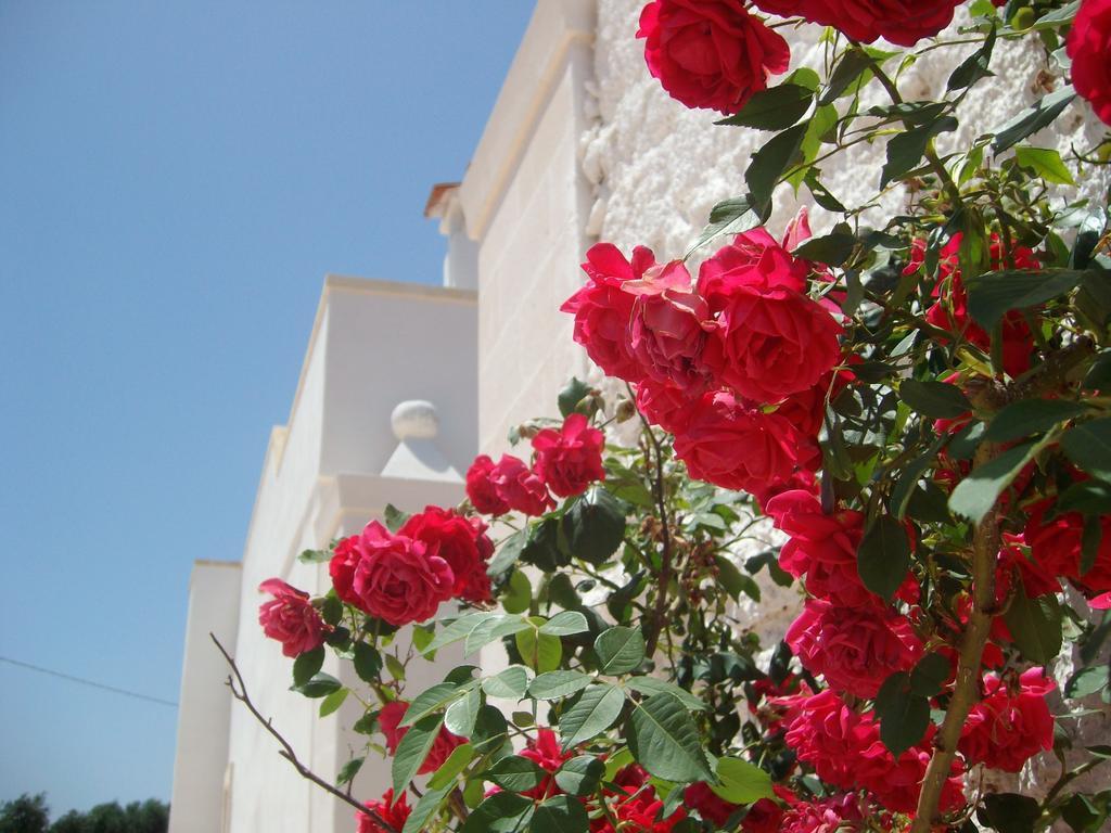 Masseria Nuova Guest House San Marzano di San Giuseppe Luaran gambar