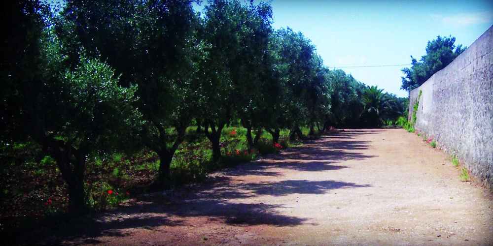 Masseria Nuova Francavilla Fontana Luaran gambar