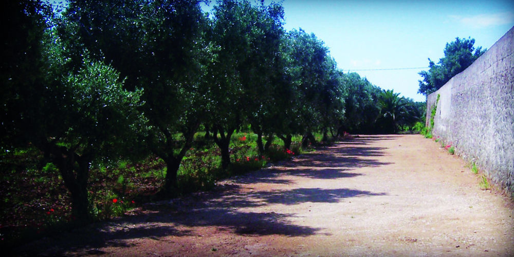 Masseria Nuova Guest House San Marzano di San Giuseppe Luaran gambar